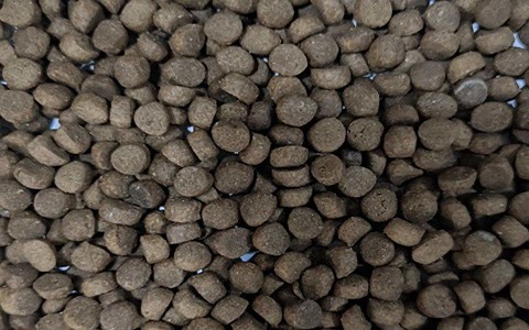 تصویر 4 از قیمت خرید غذای ماهی کپور در استخر بتنی + فروش ویژه