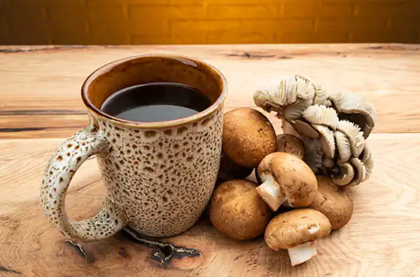 تصویر 1 از خرید و فروش قارچ قهوه ای با شرایط فوق العاده