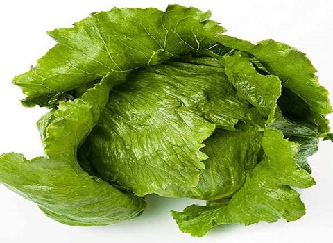 تصویر 3 از خرید و قیمت کاهو سالادی پیچ + فروش عمده