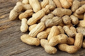 تصویر 1 از قیمت خرید بادام زمینی غلاف دار + فروش ویژه