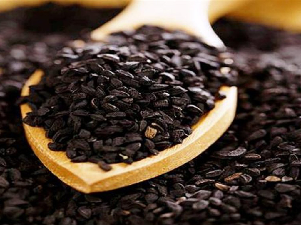 تصویر 4 از فروش سیر سیاه خشک شده + فروش عمده