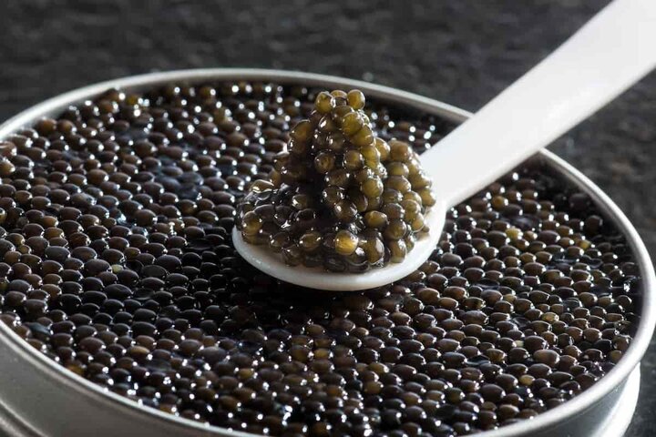 تصویر 3 از خرید و فروش خاویار مشکی بلوگا با شرایط فوق العاده