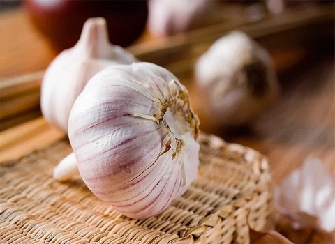 تصویر 4 از قیمت خرید سیر خشک عمده + فروش ویژه