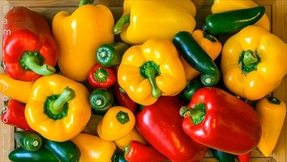تصویر 1 از قیمت فلفل دلمه رنگی با کیفیت ارزان + خرید عمده