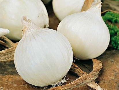 تصویر 1 از قیمت خرید پیاز سفید شیرین + فروش ویژه