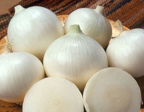 تصویر 4 از قیمت خرید پیاز سفید صادراتی + فروش ویژه