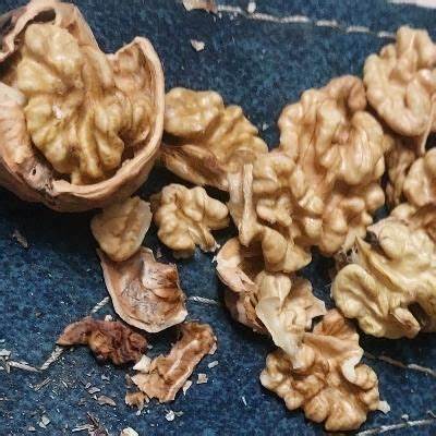 تصویر 4 از قیمت مغز گردو سفید + خرید باور نکردنی