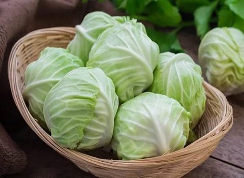 تصویر 1 از خرید و قیمت کلم سفید پیچ + فروش صادراتی