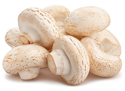 تصویر 3 از قیمت خرید قارچ خوراکی طبیعی + فروش ویژه