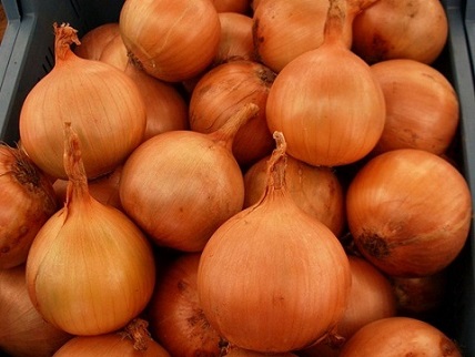 تصویر 3 از قیمت خرید پیاز زرد شیرین + فروش ویژه