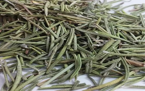 تصویر 3 از قیمت خرید گیاه رزماری خشک شده + فروش ویژه