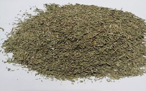 تصویر 3 از فروش گیاه دارویی آویشن باغی + قیمت خرید به صرفه