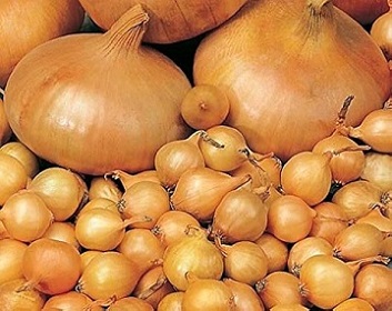 تصویر 3 از قیمت خرید پیاز ریز ترشی + فروش ویژه