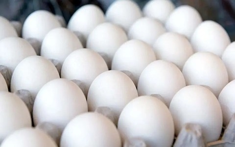 تصویر 3 از فروش تخم مرغ ۳۰ عددی + قیمت خرید به صرفه