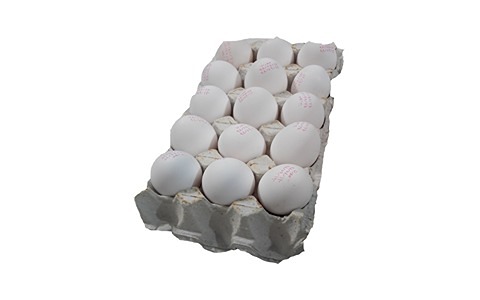 تصویر 3 از فروش ناصر سلطانی + قیمت خرید به صرفه