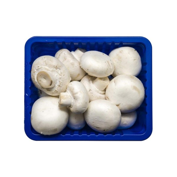تصویر 4 از قیمت قارچ بسته بندی کوچک + خرید باور نکردنی