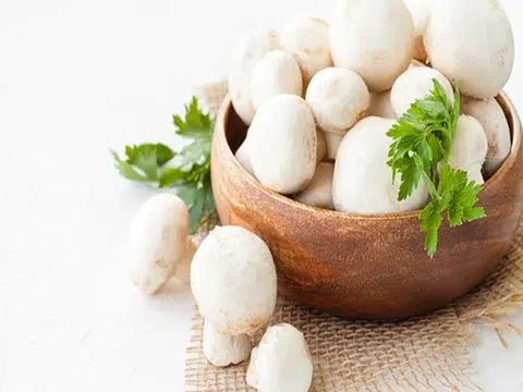 تصویر 2 از قیمت خرید قارچ بسته بندی بزرگ + فروش ویژه