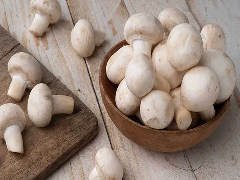 تصویر 4 از قیمت خرید قارچ بسته بندی بزرگ + فروش ویژه