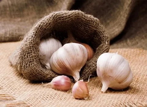 تصویر 4 از قیمت خرید سیر همدان خشک + فروش ویژه