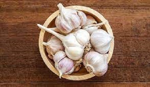 تصویر 2 از قیمت خرید سیر همدان خشک + فروش ویژه