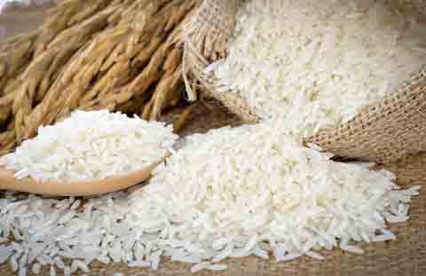 تصویر 4 از قیمت برنج کامفیروزی با کیفیت ارزان + خرید عمده