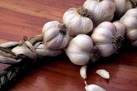 تصویر 2 از قیمت خرید سیر همدان تند + فروش ویژه