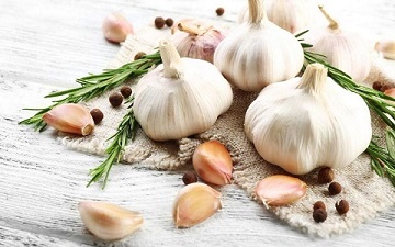 تصویر 3 از قیمت خرید سیر همدان اصل + فروش ویژه