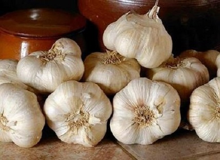 تصویر 1 از قیمت خرید سیر همدان سفید + فروش ویژه