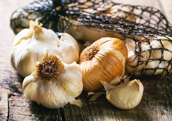 تصویر 2 از قیمت خرید سیر همدان ممتاز + فروش ویژه