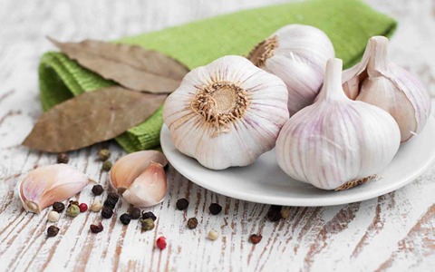 تصویر 4 از قیمت خرید سیر همدان عمده + فروش ویژه