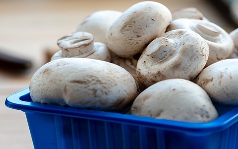 تصویر 4 از خرید قارچ خوراکی بزرگ + قیمت فروش استثنایی