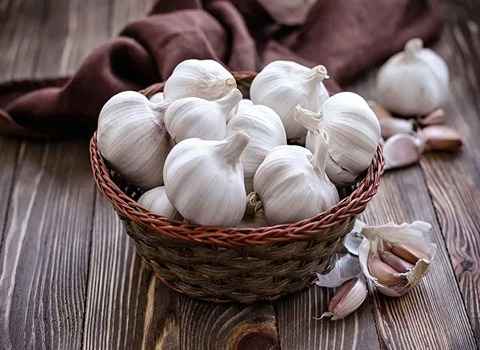 تصویر 4 از قیمت خرید سیر همدان خام + فروش ویژه