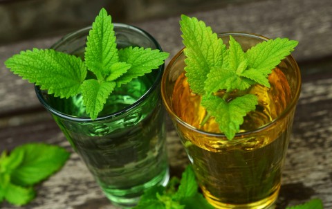 تصویر 2 از قیمت عرق نعنا ممتاز دو آتیشه سنتی درجه یک با کیفیت ارزان + خرید عمده