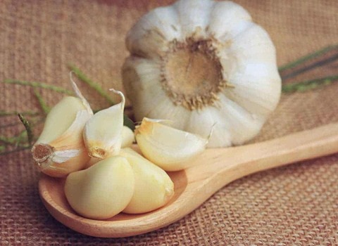 قیمت سیر منجمد همدان