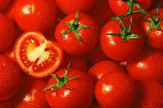 تصویر 3 از قیمت گوجه فرنگی هرمزگان + خرید باور نکردنی