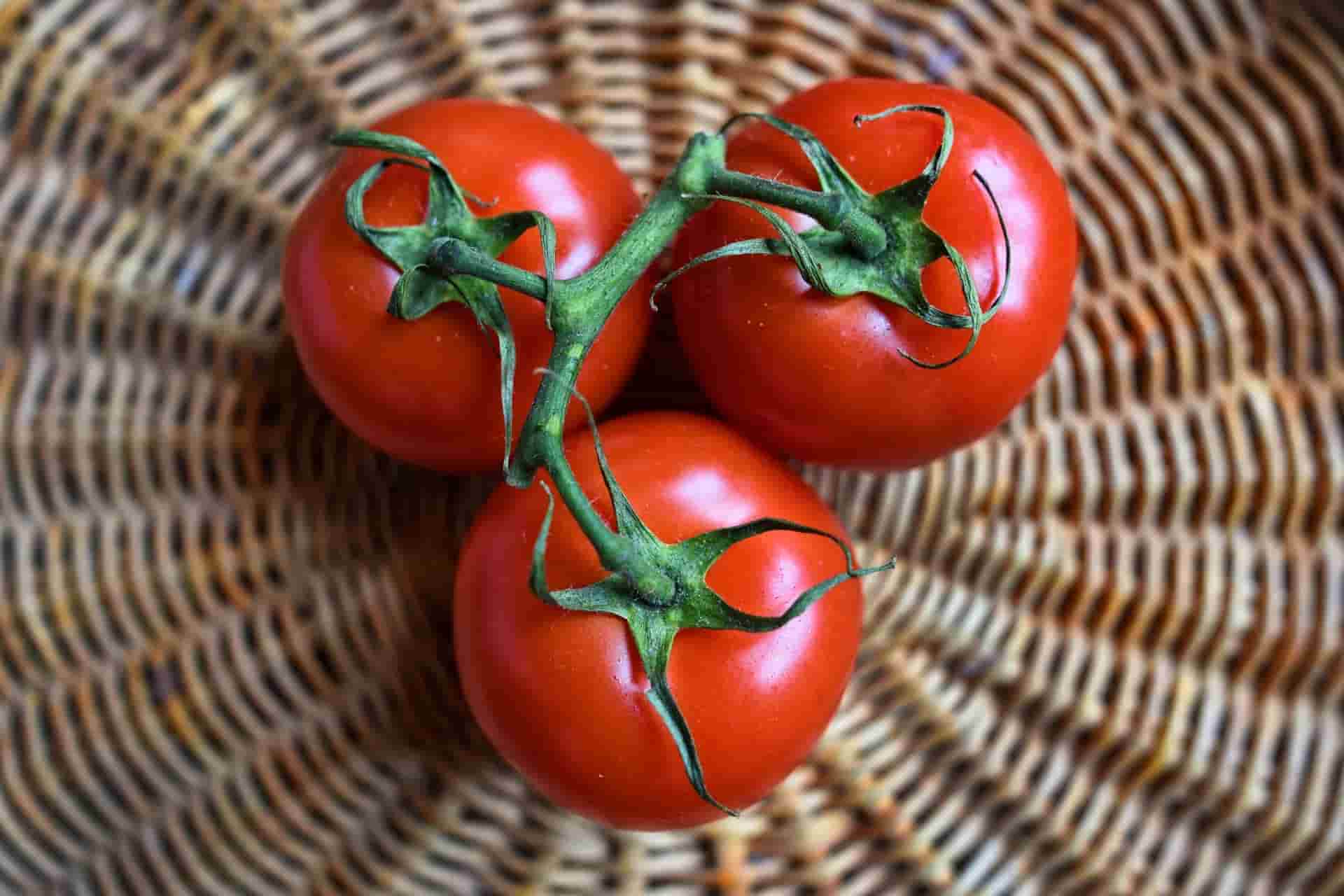 تصویر 3 از خرید و فروش گوجه فرنگی گیلاسی با شرایط فوق العاده