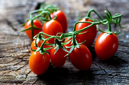 تصویر 1 از خرید و فروش گوجه فرنگی گیلاسی با شرایط فوق العاده