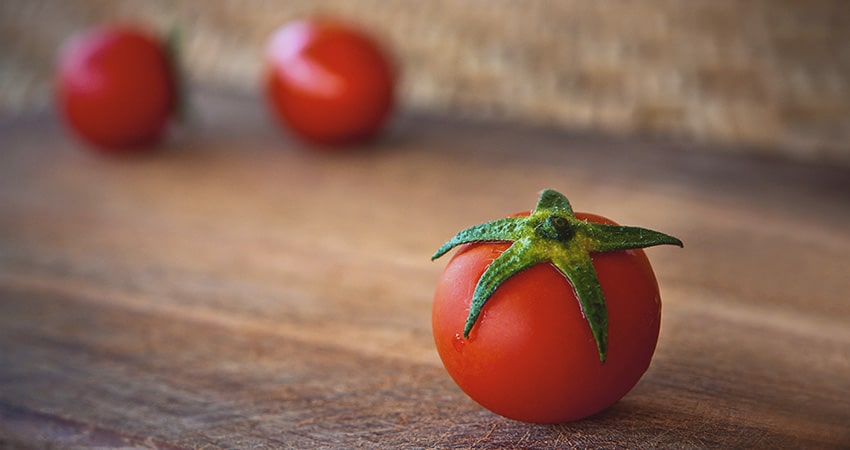 تصویر 2 از خرید و فروش گوجه فرنگی گیلاسی با شرایط فوق العاده