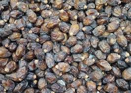 تصویر 1 از خرید و قیمت خرما صادراتی + فروش عمده