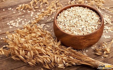 تصویر 3 از فروش جو دوسر ترخینه + قیمت خرید به صرفه