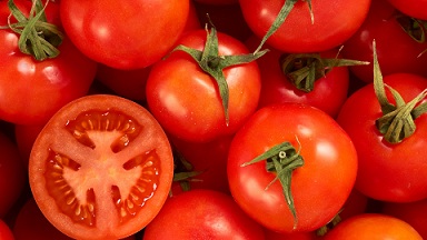 تصویر 3 از خرید و قیمت گوجه فرنگی شیراز + فروش صادراتی