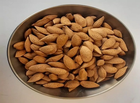 تصویر 3 از خرید مغز بادام سنگی + قیمت فروش استثنایی