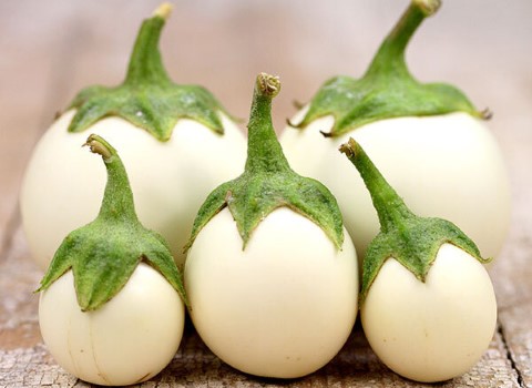 تصویر 1 از خرید بادمجان دلمه ای بزرگ + قیمت فروش استثنایی