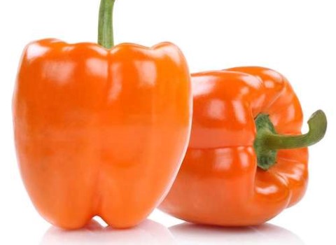 تصویر 1 از قیمت خرید فلفل دلمه ای نارنجی + فروش ویژه