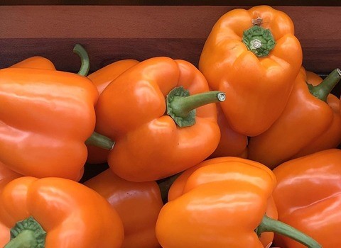 تصویر 3 از قیمت خرید فلفل دلمه ای نارنجی + فروش ویژه