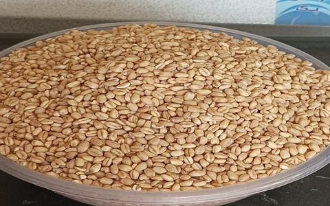 تصویر 3 از فروش گندم پوست کنده + قیمت خرید به صرفه