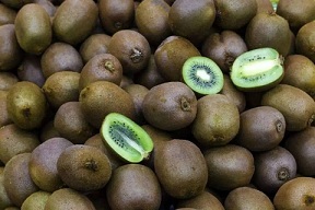 تصویر 3 از خرید و قیمت کیوی هایوارد سبز + فروش عمده