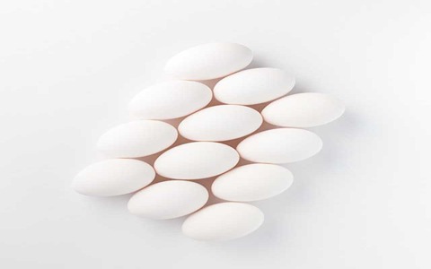 تصویر 4 از فروش تخم مرغ سفید + قیمت خرید به صرفه