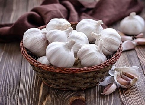 تصویر 1 از خرید و فروش سیر سفید بی بو با شرایط فوق العاده