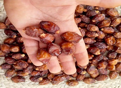 تصویر 3 از فروش خرما خاصویی ریز + قیمت خرید به صرفه